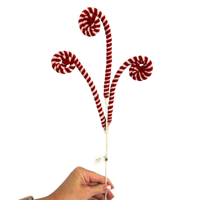 Red and white peppermint swirl Christmas spray with three curled striped stems.