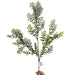 24-inch snowy green fern spray with delicate branching foliage, light green tips, and white snow-dusted accents for Christmas wreaths and winter floral arrangements, XG55913-064.