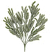 Snowy emerald pine bush with multiple green evergreen branches covered in white frosted snow accents, XG551561-068.