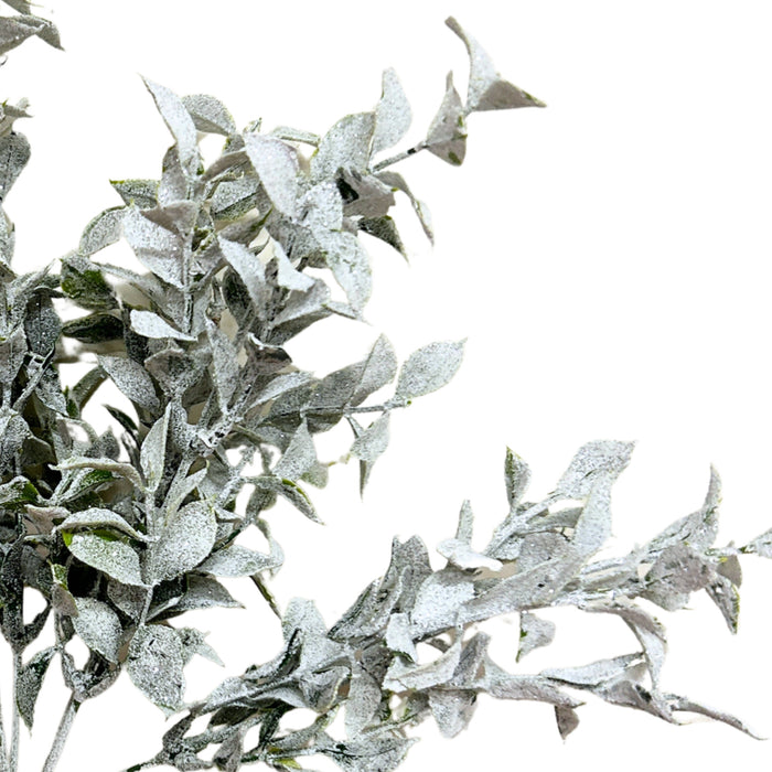 Close-up of small green leaves coated in a textured white snowy finish on winter greenery bush, XG551916-068.
