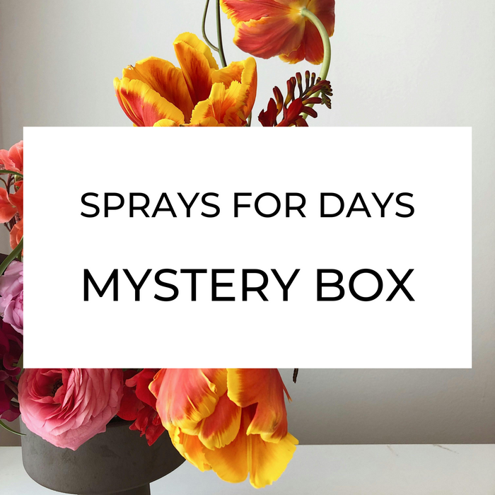 Sprays for Days - Box of Sprays