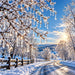 Winter country road metal sign featuring sparkling icicles hanging from tree branches, snow-covered wooden fences, frosted trees, and golden sunlight against a blue sky, TTE-839.