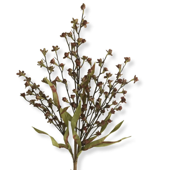 Elevate your fall floral arrangements or rustic decor with the 23" Brown Wood Berry Spray 65121-BRN, featuring multiple slender stems adorned with small brown five-petal flowers and several long green leaves at the base, all beautifully displayed against a white background.