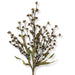 Elevate your fall floral arrangements or rustic decor with the 23" Brown Wood Berry Spray 65121-BRN, featuring multiple slender stems adorned with small brown five-petal flowers and several long green leaves at the base, all beautifully displayed against a white background.