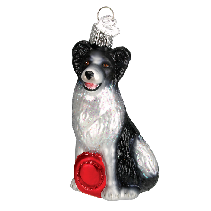 Border Collie Ornament Old World Christmas Ornament 12302