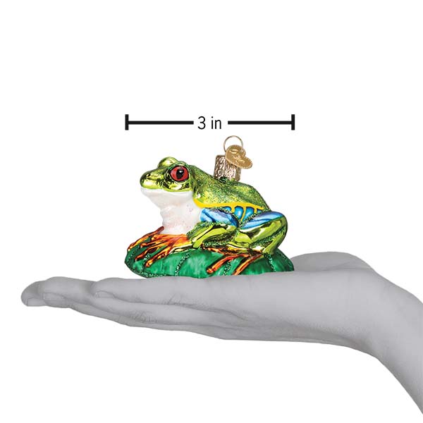 Red-eyed Tree Frog Ornament  Old World Christmas  12632