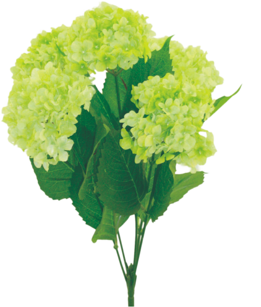 The 19 Inch Light Green Hydrangea Bush 30334GN features multiple blooms and green leaves on long stems, ideal for wreath making, displayed against a plain background.