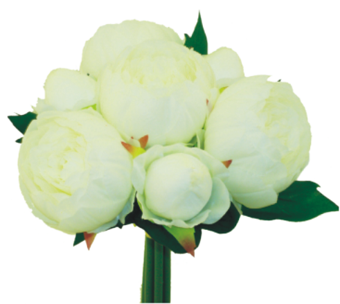 12" Cream Peony Bouquet With Seven Stems  30456Cm