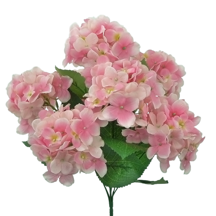 Colorfast Pink Hydrangea Bush 35068PK