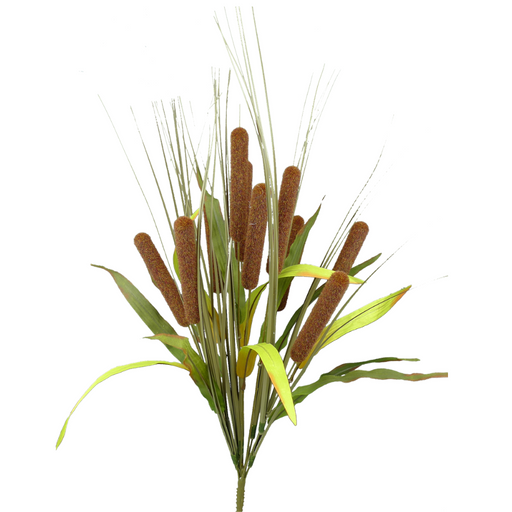 A 21 Cattail Bush (Product Code: 56443BN) with ten slender green-brown stems and leaves, isolated on a white background.