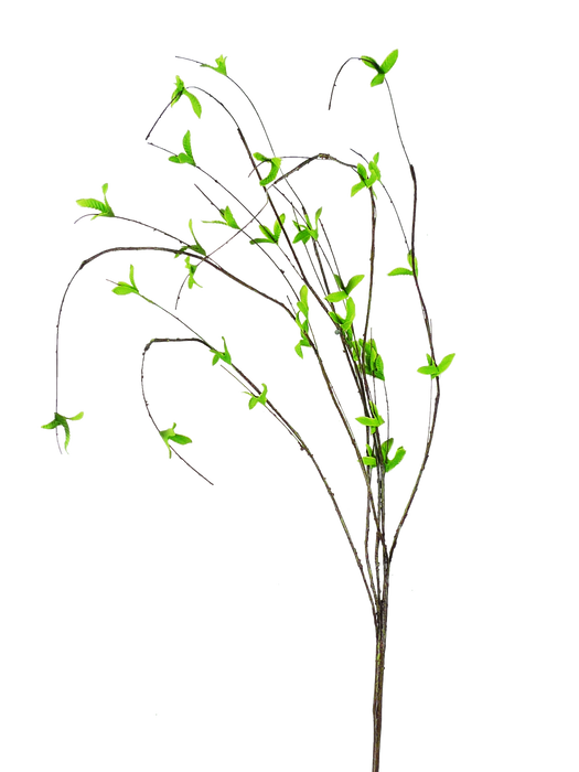 The 34 Inch Natural Leaf Sprout Branch 61908NAT features thin, brown stems with sparse, bright green leaves—ideal for wreath making or floral arrangements—presented against a plain white background.
