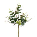 The 18 Cream Berry Eucal Spray 62944CM has a sprig of mixed greenery, cream berries, and small white flowers. Featuring round green leaves and spiky florals on a slender brown stem, its elegantly displayed against a plain white background.
