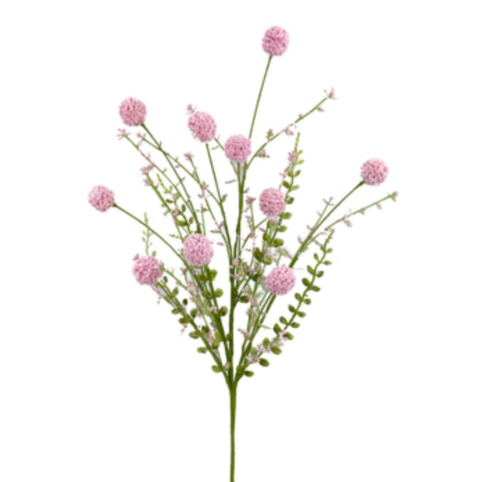 30" Pink Snowball Allium Bush 63095PK