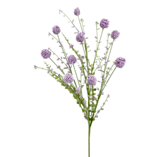A 30 Purple Snowball Allium Bush with multiple thin stems, small spherical lavender blooms, and some green leaves is set against a white background.