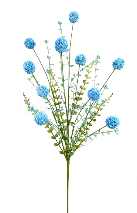30" Blue Snowball Allium Bush  63095BL