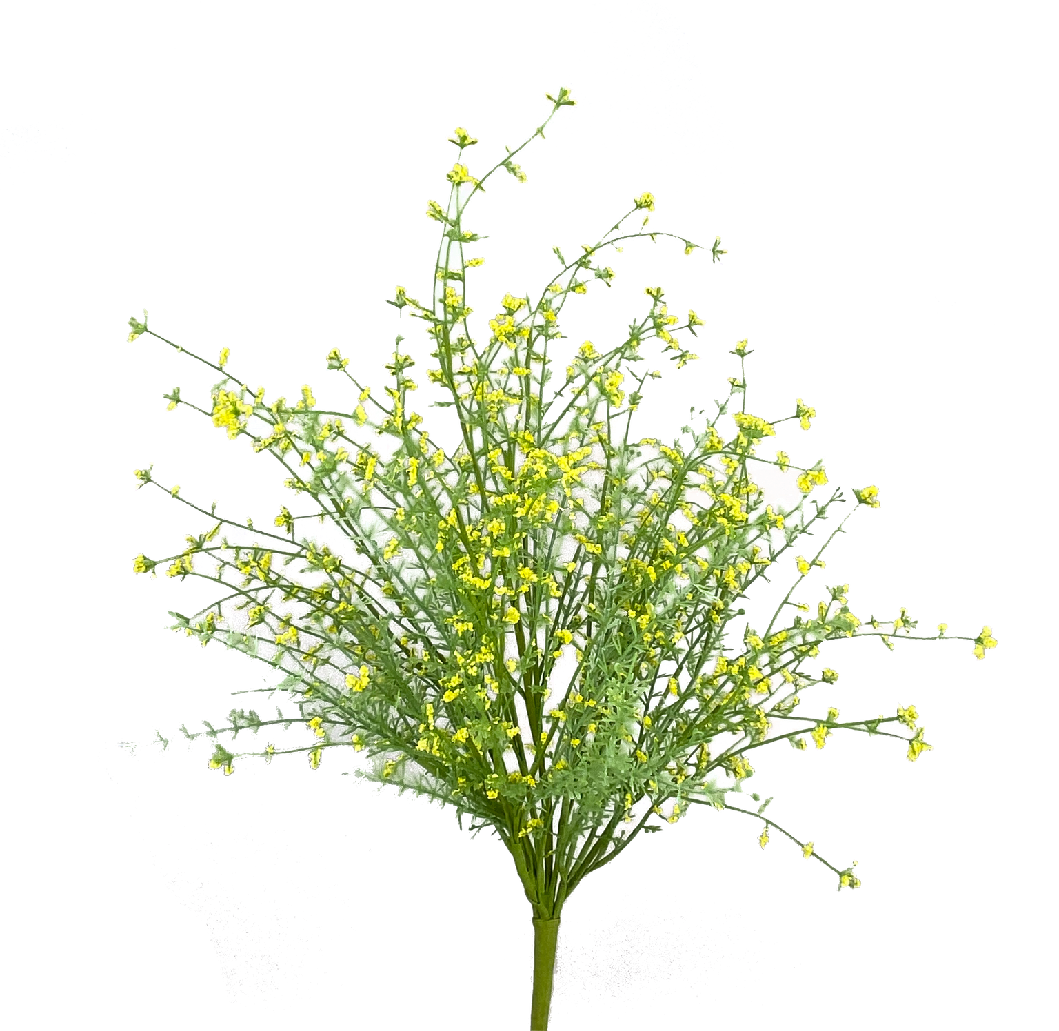 New Arrivals — Trendy Tree