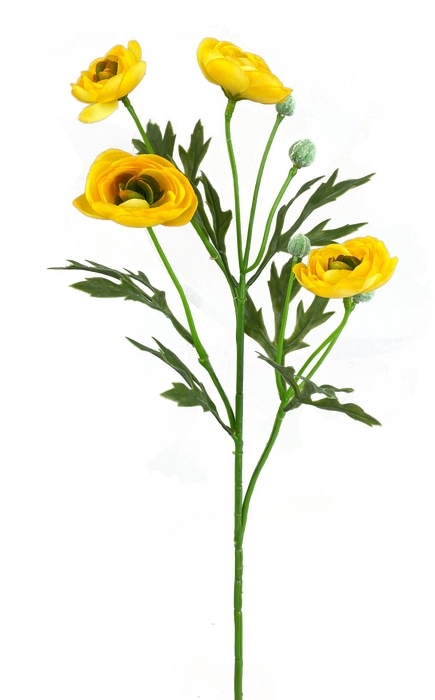 21" Yellow Ranunculus Spray  4 Stems 63328YW