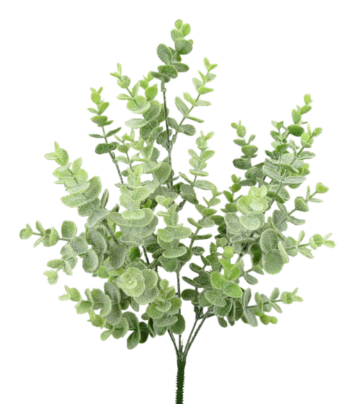 A sprig of the 18 Frosted Eucalyptus Bush With Five Stems (84995Frost), featuring thin, frosted light green leaves, is displayed against a plain light gray background.