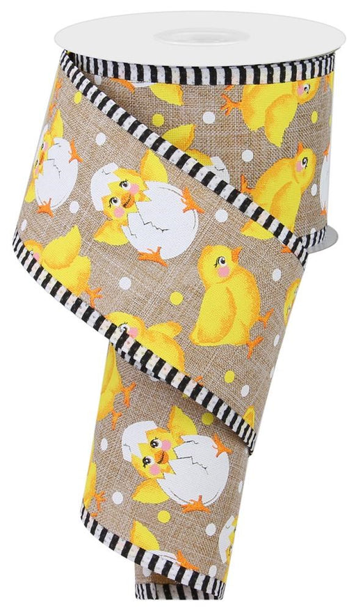 A roll of 2.5"x10yd Baby Chicks/Royal/Thin Stripe ribbon showcases a delightful design of yellow chicks and cracked eggs on a light tan background. This wired ribbon features elegant black and white thin striped edges, beautifully arranged in a spiral display.