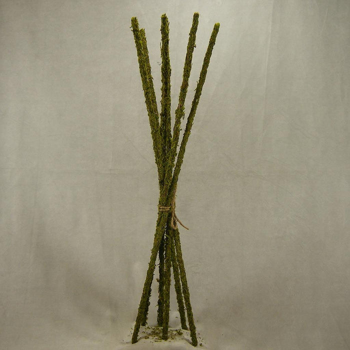 29" Mossy Sticks  Bundle Of 6  SA4015