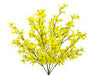 A 20 Yellow Forsythia Bush with 8 stems, each adorned with small, delicate flowers on slender stems, set against a plain white background.