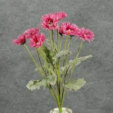 Mauve Gerber Daisy with 10 Stems  S692037-Mav