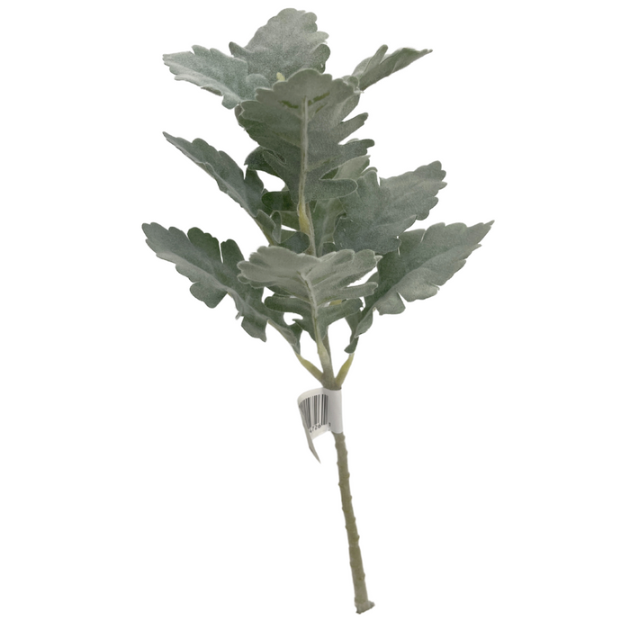 13" Dusty Miller Pick SP781562-063