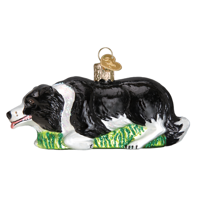 Herding Border Collie 12510 Old World Christmas Ornament