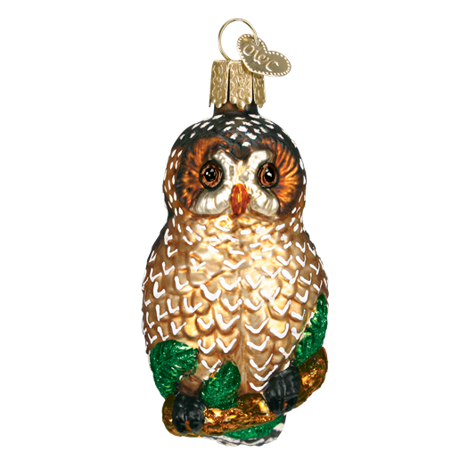 Spotted Owl 16052 Old World Christmas Ornament — Trendy Tree