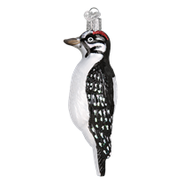 Hairy Woodpecker 16120 Old World Christmas Ornament