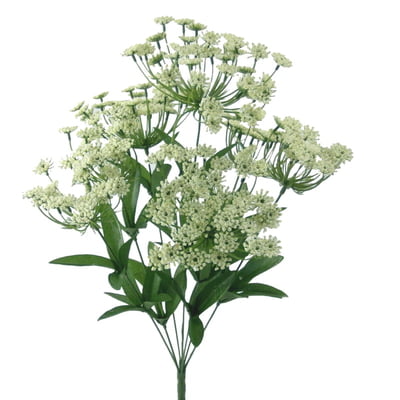 ueen Ann Lace Bush 30434CM