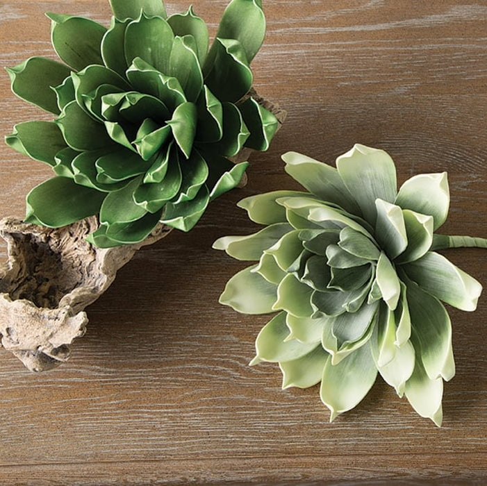 RAZ 15" Succulent Stem Set of 2